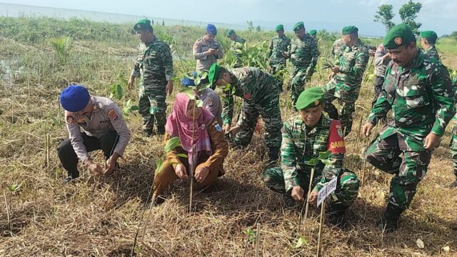 Kodim 0601/Pandeglang Ikuti Penanaman Mangrove Nasional Serentak Seluruh Indonesia