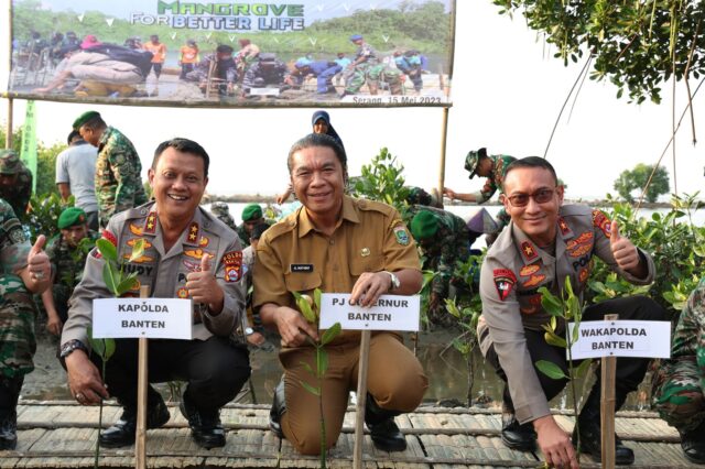 Pj Gubernur Banten Al Muktabar Hadiri Penanaman Mangrove Serentak