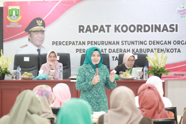 Ketua TP-PKK Provinsi Banten Gerakkan Kader Dalam Percepatan Penanganan Stunting