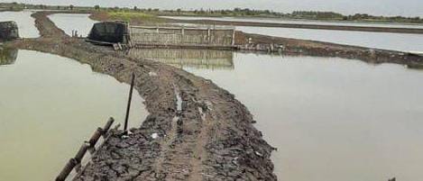 Akses Menuju Laut di Persempit Adanya Tanggul, Babinsa Koramil 0602-11/Tirtayasa Perjuangkan Normalisasi Sungai