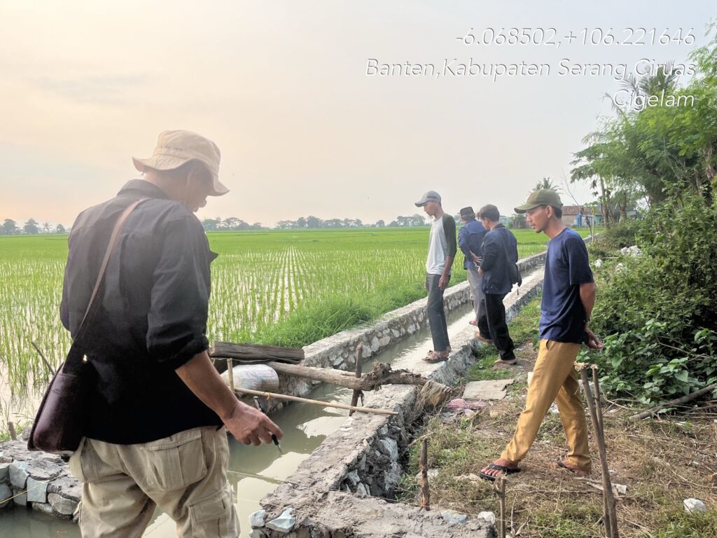 Berdampak Positif, Petani Desa Cigelam Apresiasi Program P3AI