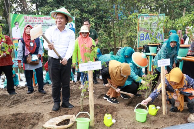 Pj Gubernur Banten Luncurkan Gerakan Menanam Sejuta Pohon Kelor