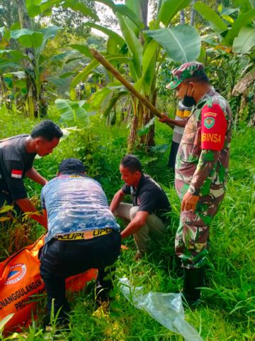 Korban Tewas Diterkam Buaya Berhasil Ditemukan, Anggota Koramil 0111/Pgl Bantu Evakuasi