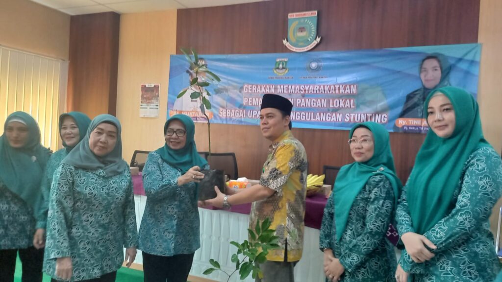 TP PKK Provinsi Banten Dampingi Para Kader Input Data e-Dasawisma