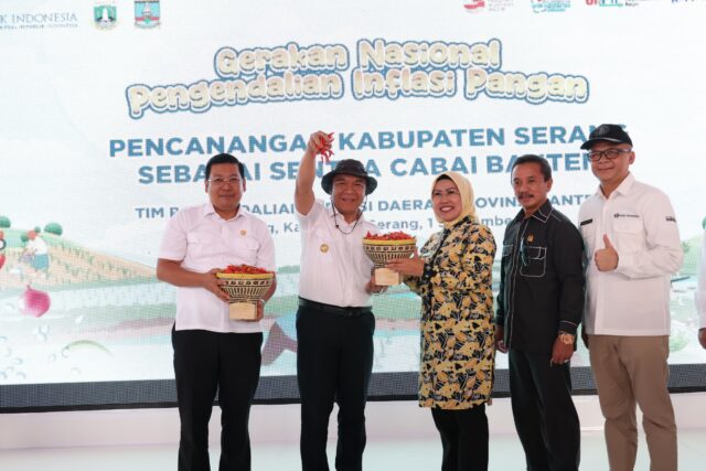 Tekan Inflasi, Pemprov Banten Gencarkan Penanaman Cabai