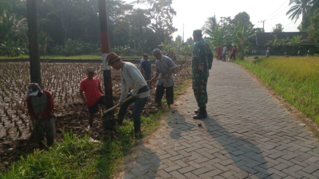 Bersama Warga Binaan, Babinsa Koramil 0105/Mandalawangi Kodim 0601 Pandeglang Laksanakan Baksos Bersihkan Lingkungan