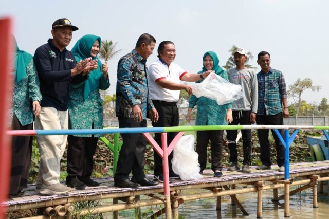 Pj Gubernur Banten Bersama Wali Kota Serang dan Ketua TP PKK Provinsi Banten Tine Al Muktabar Tebar 1000 Benih Ikan Nila