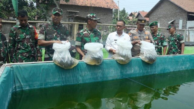 Jaga Ketahanan Pangan, Dandim 0602/Serang Tabur 2.000 Bibit Ikan