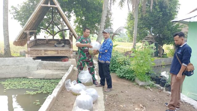 Jaga Ketahanan Pangan, Koramil 0602-14/Pabuaran Tabur 10.000 Bibit Ikan
