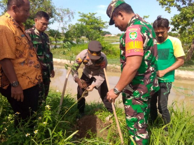 Koramil 0602-16/Ciruas Bersama Pemda dan Polsek Gelar Karbak Penanaman Pohon