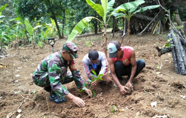 Peduli Terhadap Alam, Babinsa Koramil 0602-12/Ciomas Lakukan Penghijauan