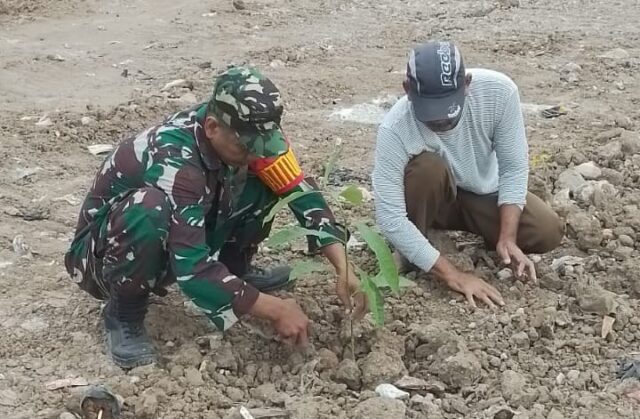 Antisipasi Bencana, Koramil 0602-02/Kasemen Gelar Karbak Penghijauan Di Bantaran Sungai