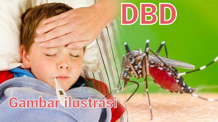 Kasus DBD Terus Meningkat, Masyarakat Gunung Sari Meminta Dinkes Lakukan Fogging Kasus DBD Terus Meningkat, Masyarakat Gunung Sari Meminta Dinkes Lakukan Fogging