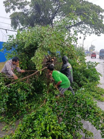 Respon Cepat, Patroli Polsek Cikande Bantu Evakuasi Pohon Tumbang di Cikande