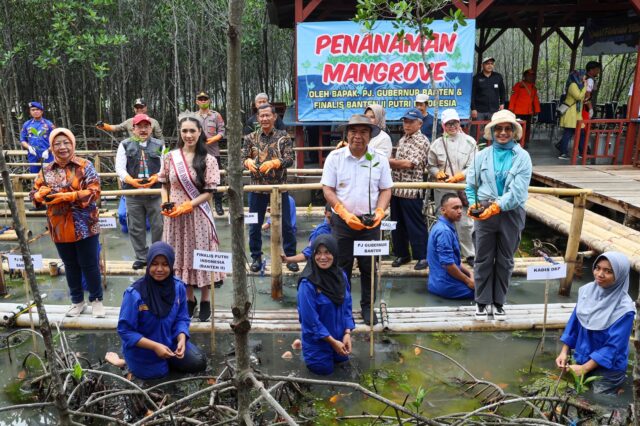 Pj Gubernur Banten Tanam Mangrove di Teluk Banten