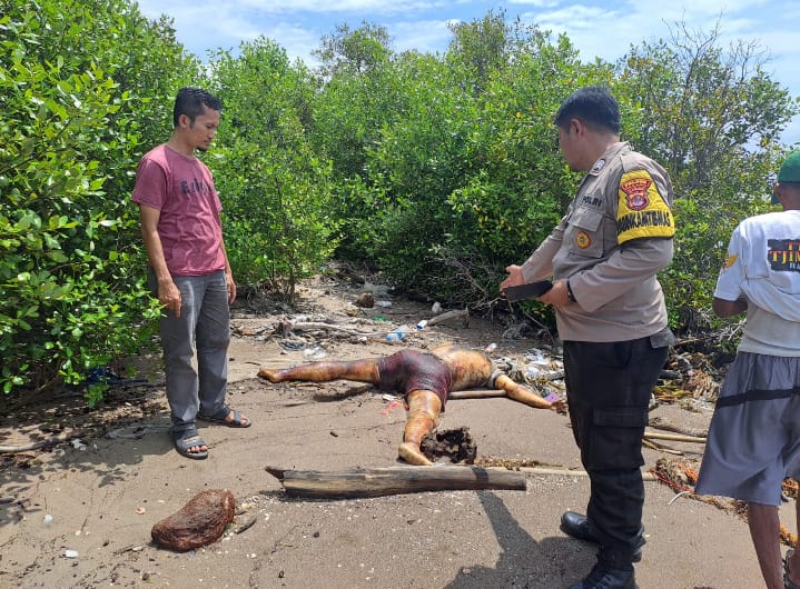 Penemuan Mayat di Domas, Tim Inafis Polres Serang Lakukan Evakuasi