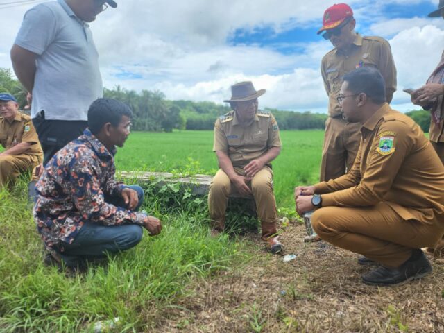 Tinjau Penangkaran Benih Padi, Al Muktabar Ingin Pastikan Ketahanan Pangan di Banten Terjaga dari Hulu Sampai Hilir