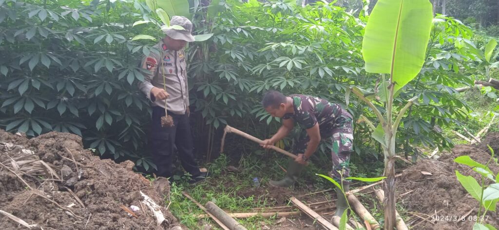 Satgas TMMD Ke-119 Kodim 0602/Serang Lestarikan Lingkungan dengan Penghijauan