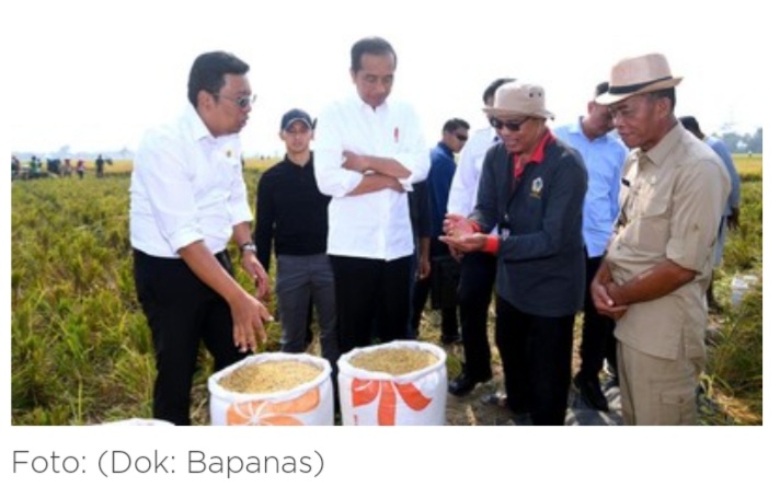 Resmi Berlaku! Harga Gabah Petani Dinaikkan Rp1.000/ Kg Mulai Hari Ini