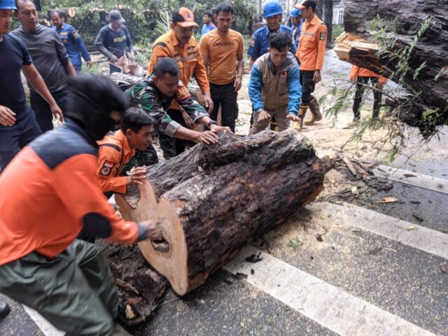 Babinsa Koramil 0602-01/Kota Serang Membantu Proses Evakuasi Pohon Tumbang