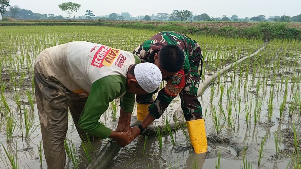 Babinsa Koramil 0602-19/Cikande Lakukan Pendampingan Pompanisasi Pertanian Babinsa Koramil 0602-19/Cikande Lakukan Pendampingan Pompanisasi Pertanian