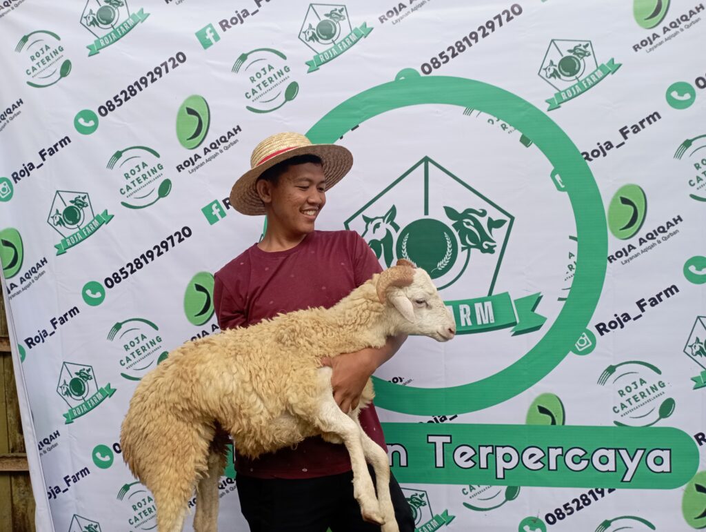 Sukses Miliki Roja Farm, Siapa Sangka Dulunya Pedagang Cilok Sukses Miliki Roja Farm, Siapa Sangka Dulunya Pedagang Cilok