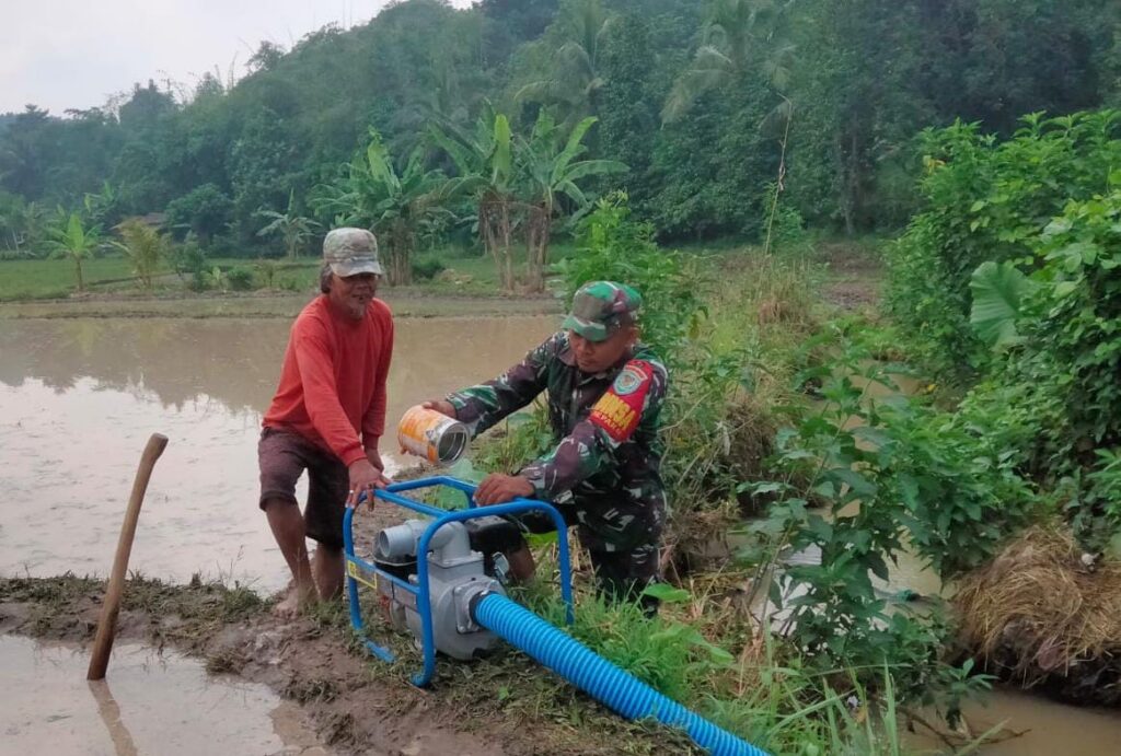 Babinsa Koramil 0602-04/Taktakan Laksanakan Program Pendampingan  Pompanisasi Pertanian