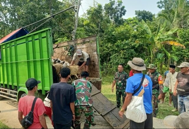 Kepala Staf Angkatan Darat Berikan Bantuan Hewan Ternak Di Rancapinang