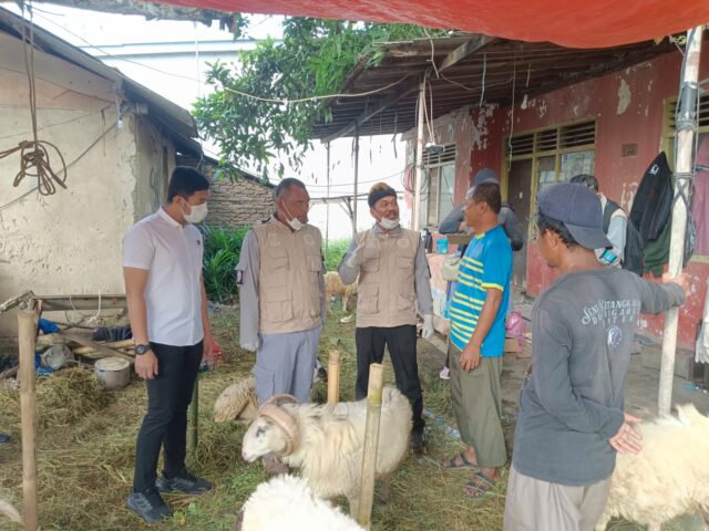 Tim Satgas Pangan Polres Serang dan Dinas Pertanian dan Peternakan Lakukan Pemeriksaan Hewan Kurban