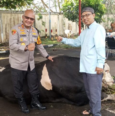 Lebaran Idul Adha 1445 H, Kapolres Serang Salurkan Hewan Qurban