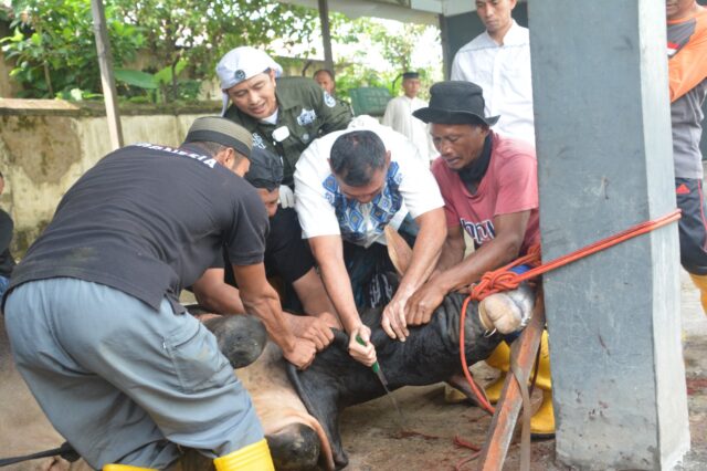 Gandeng Juru Sembelih Halal, Korem 064/MY Perlakukan Hewan Kurban dengan Ihsan