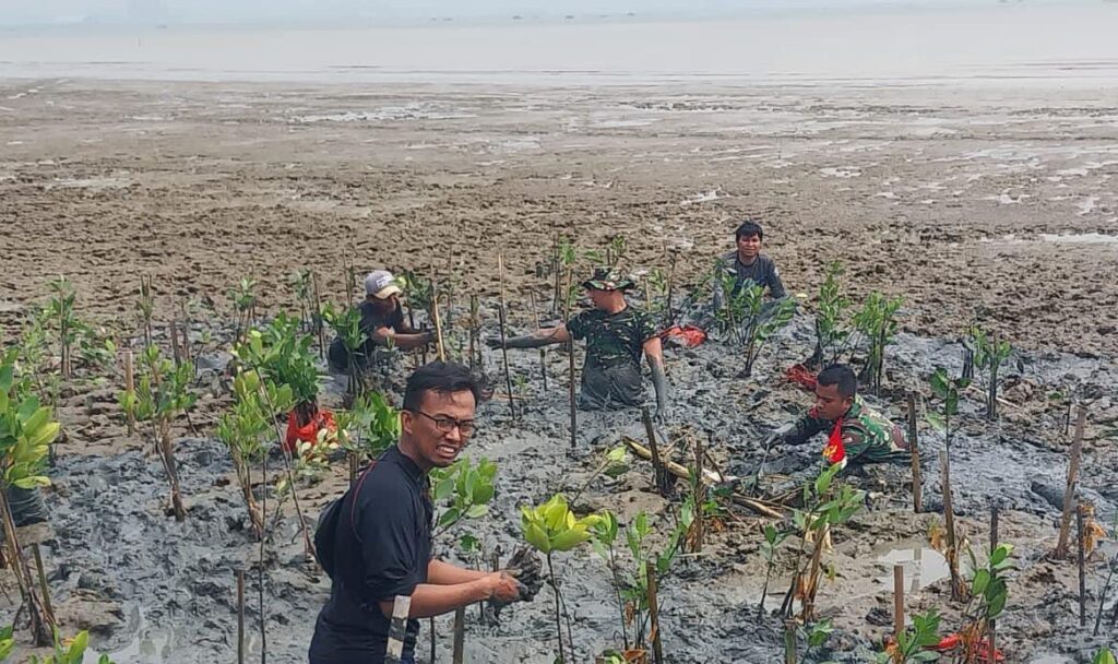 Danramil 0602-02/Kasemen dan Babinsa Bersama Pramuka Gelar Rehabilitasi Ekosistem Di Pantai Pancer Karangantu Danramil 0602-02/Kasemen dan Babinsa Bersama Pramuka Gelar Rehabilitasi Ekosistem Di Pantai Pancer Karangantu
