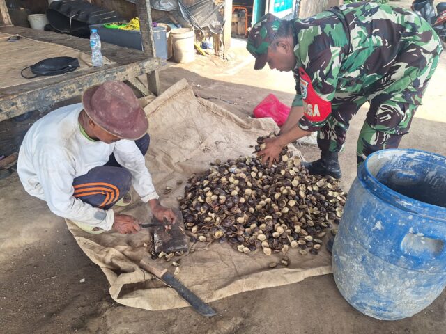 Inovasi Babinsa Kodim 0602/Serang, Pembuatan Obat Pembasmi Hama Burung Dari Cangkang Jengkol