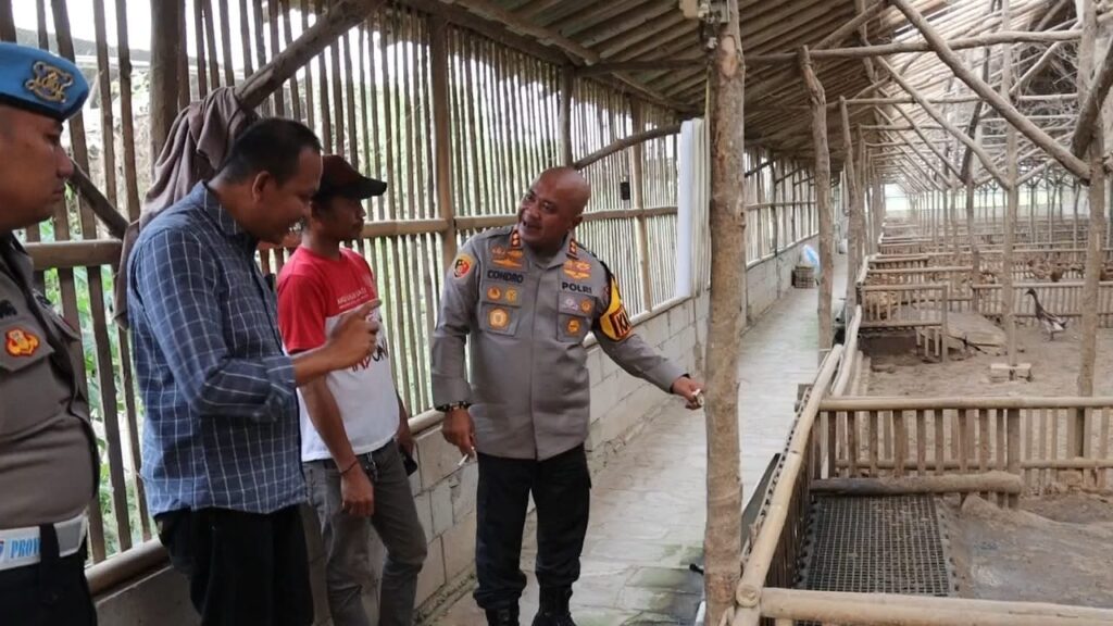 Program Polisi Peduli Pengangguran di Binuang, Kapolres Serang Masuk Kandang Bebek Program Polisi Peduli Pengangguran di Binuang, Kapolres Serang Masuk Kandang Bebek