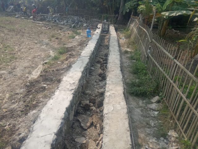 Program P3-TGAI di Desa Kelapian Disambut Antusias Petani
