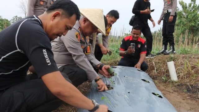 Dukung Ketahanan Pangan, Polres Serang Tanam Bibit Melon dan Mentimun