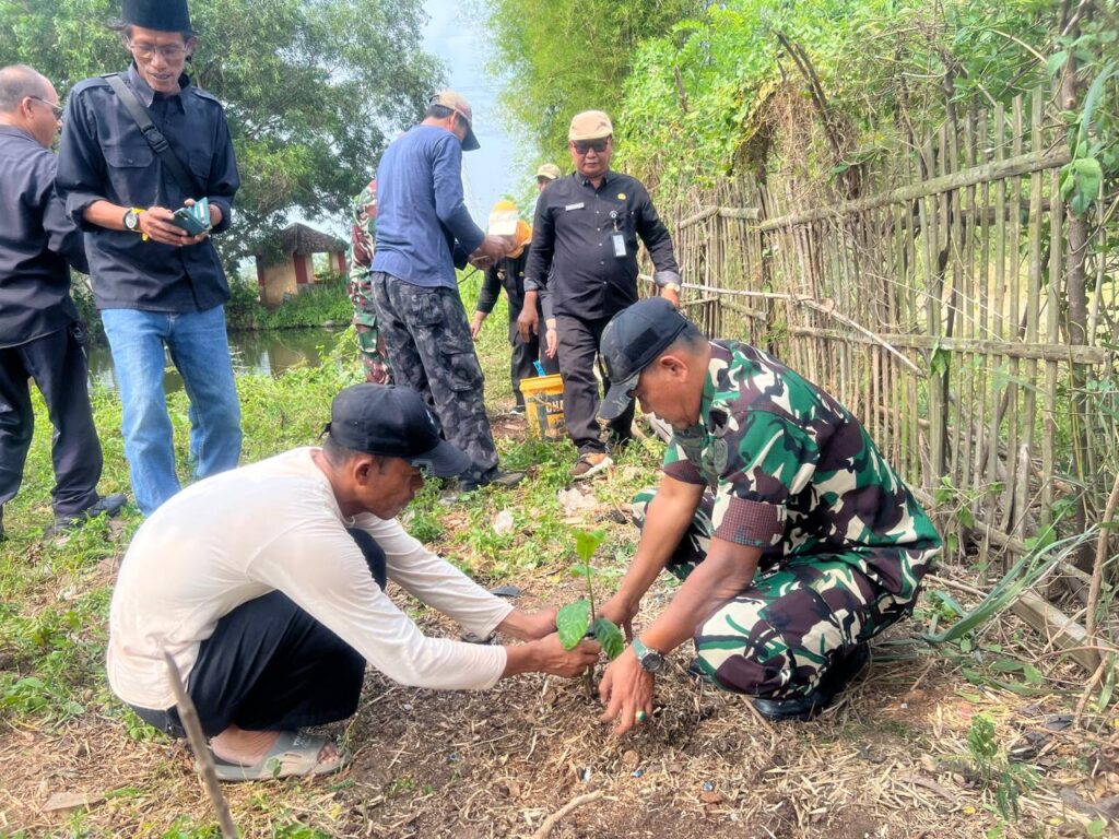 Program Unggulan Kasad, Koramil Kramatwatu Bersama Muspika Tanam 250 Pohon Sukun Program Unggulan Kasad, Koramil Kramatwatu Bersama Muspika Tanam 250 Pohon Sukun