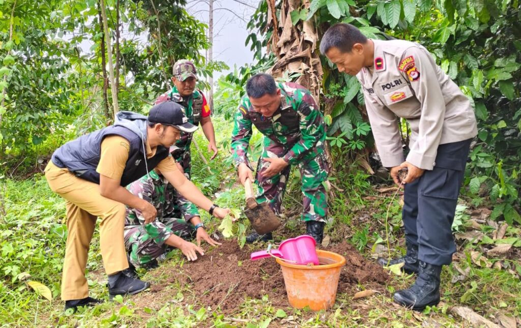 Koramil Waringinkurung Gandeng Pemda Dan Polsek Tanam Pohon Sukun Untuk Perkuat Ketahanan Pangan