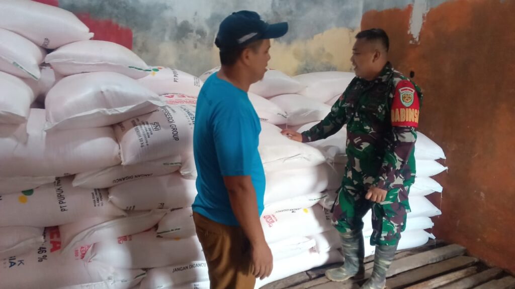 Babinsa Kragilan Pastikan Ketersediaan Pupuk Subsidi Untuk Mendukung Ketahanan Pangan