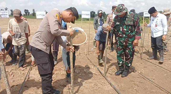 Dukung Program Asta Cita Ketahanan Pangan, Polsek Jawilan Bersama Muspika Tanam Jagung Dukung Program Asta Cita Ketahanan Pangan, Polsek Jawilan Bersama Muspika Tanam Jagung