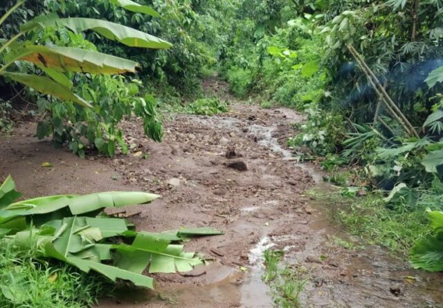 Longsor Putus Akses Jalan Utama di Desa Cikedung Mancak