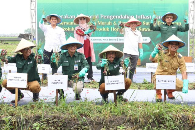 Pj Sekda Usman : Pemprov Banten Dorong Pengembangan Produksi Bawang Merah