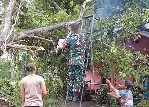 Akibat Pohon Tumbang Akses Jalan Terputus, Warga dan Babinsa Koramil Carenang Bergotong Royong