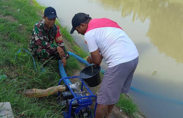 Babinsa Koramil Ciruas Laksanakan Pendampingan Pompanisasi Pertanian