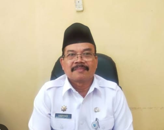 Program Website Desa di Kabupaten Serang Dinilai Tidak Efektif, Mantan Kepala DPMD Beri Penjelasan