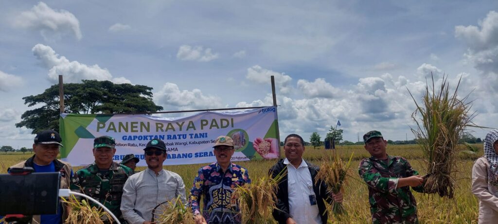 Kasdim 0602/Serang Hadiri Panen Raya Padi di Lebakwangi