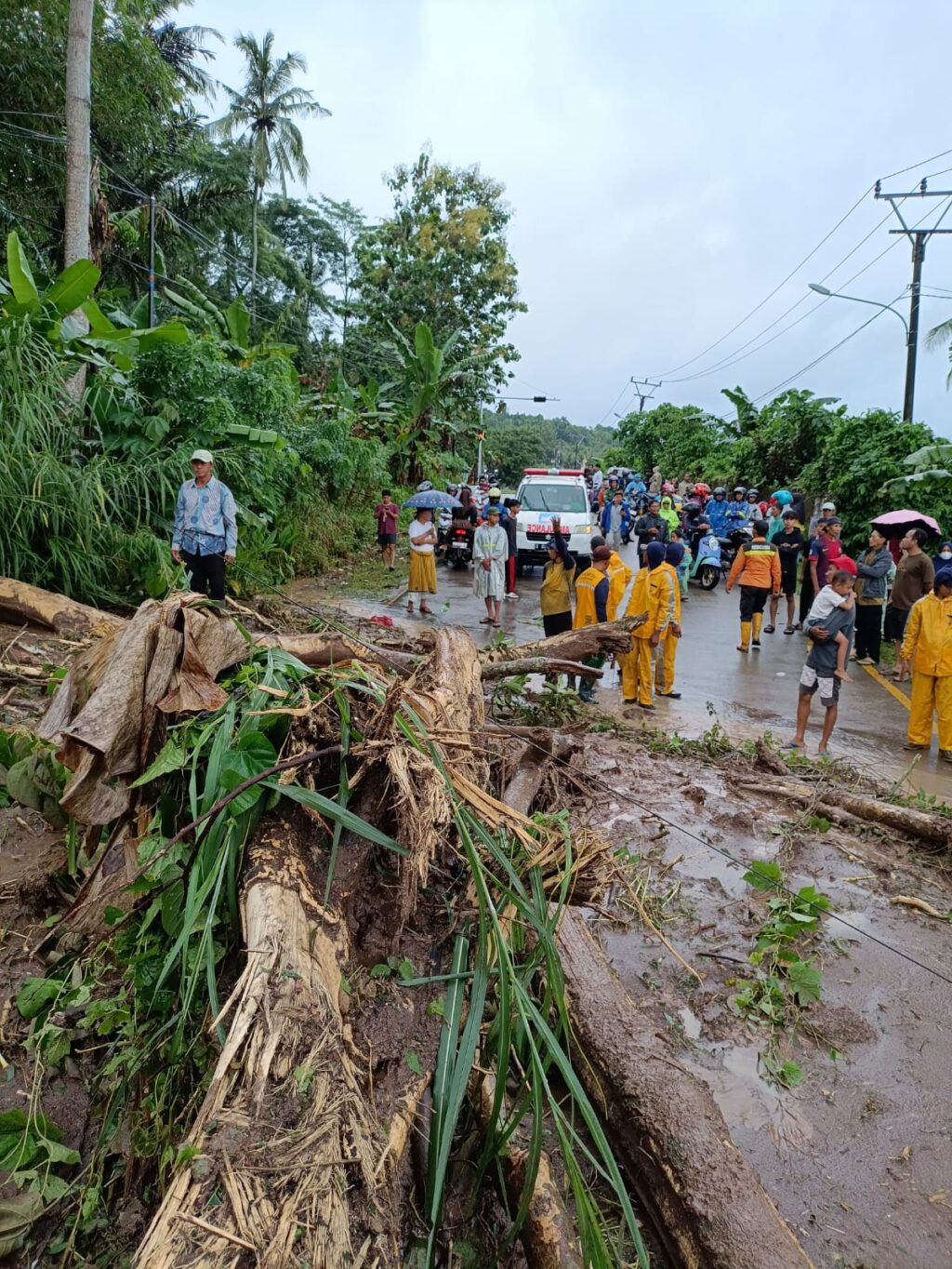 Bencana Banjir dan Longsor, Pemprov Banten Kerahkan Petugas dan Salurkan Bantuan