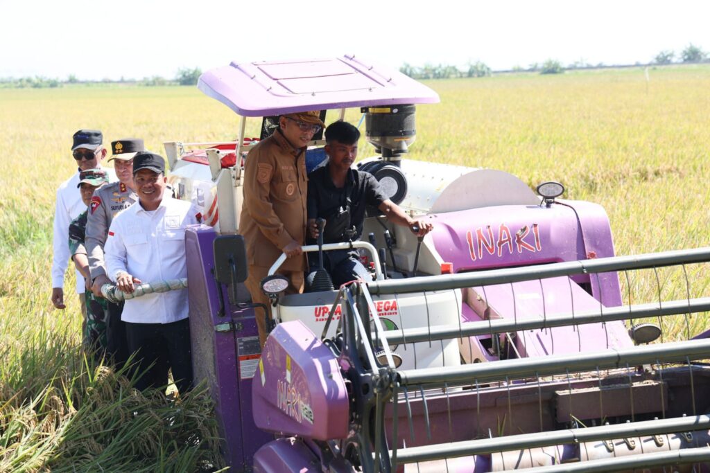 Andra Soni Pastikan Harga Gabah Tak Anjlok di Bawah Rp6.500 per Kilogram Andra Soni Pastikan Harga Gabah Tak Anjlok di Bawah Rp6.500 per Kilogram