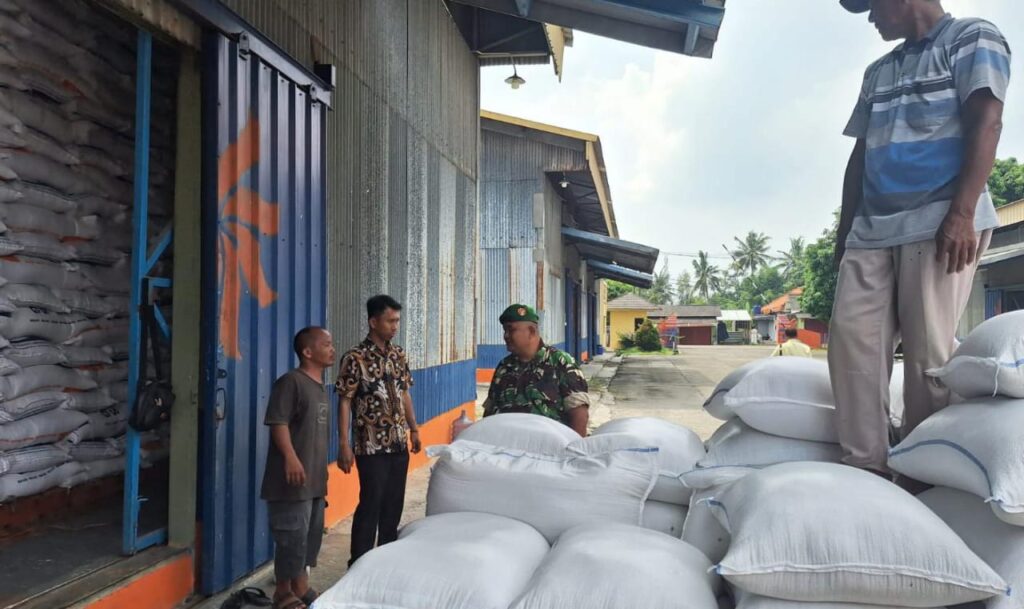 Babinsa Koramil Ciruas Dukung Ketahanan Pangan Lewat Penyerapan 2.650 Kg Beras Petani Babinsa Koramil Ciruas Dukung Ketahanan Pangan Lewat Penyerapan 2.650 Kg Beras Petani