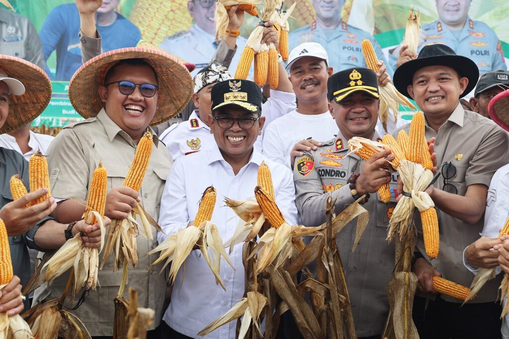 Panen Raya Jagung, Andra Soni Apresiasi Dukungan Polres Serang untuk Swasembada Pangan
